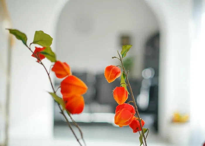 Sanda With Private Pool * Zadar