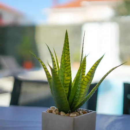 Sanda With Private Pool Villa