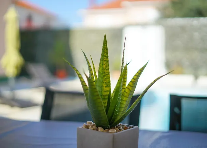 Sanda With Private Pool וילה